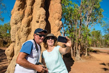 Magnetic Termite Mounds