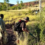 Trek larapinta