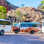 4x 4WD Buses available (1 not pictured)