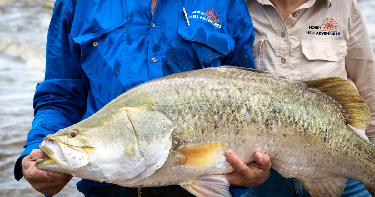 Heli Fishing - Depart Katherine/Timber Creek | tour by Avventure in ...
