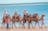 Beach Camel Ride
