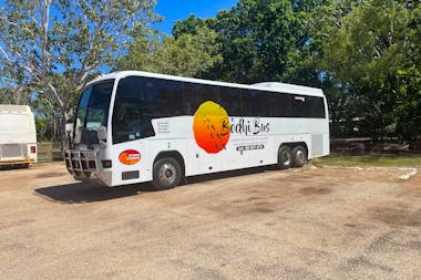 Katherine Coaches