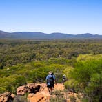 Flinders Ranger Hiking Adventures