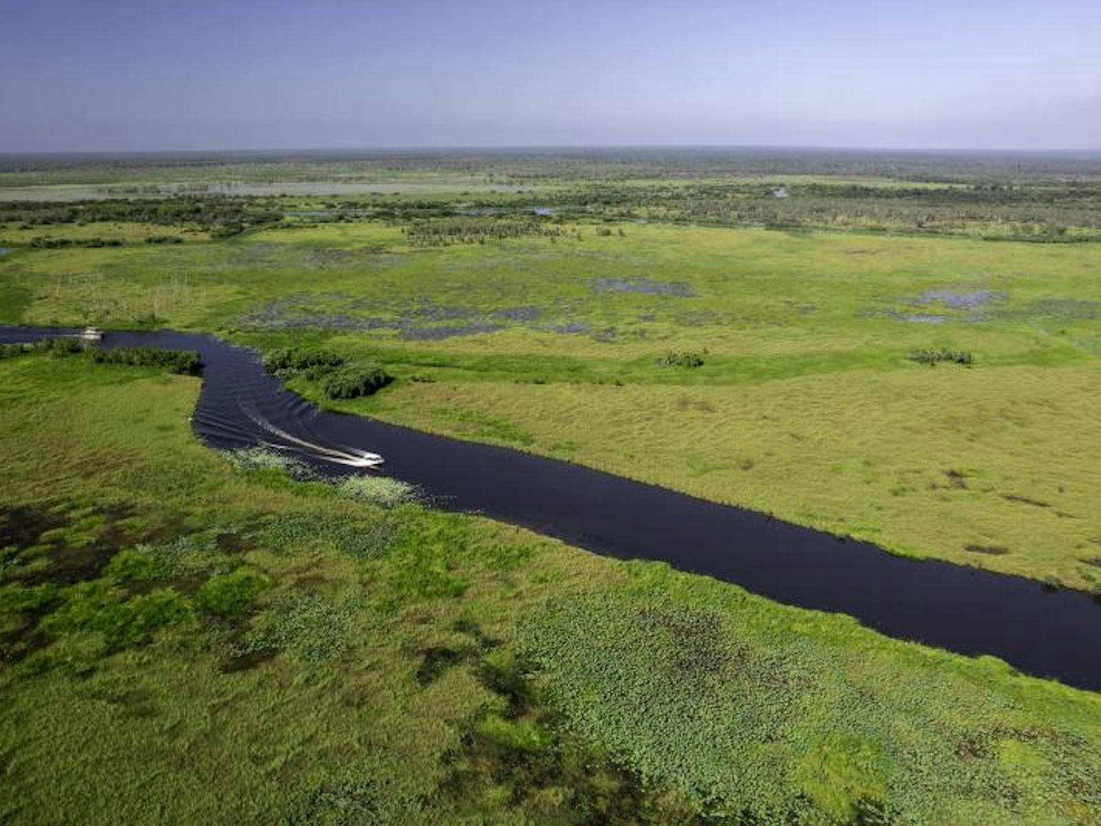 Wildlands Wetlands Safari Cruise