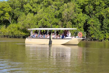 Pathfinder Jumping Original Crocodile Cruise