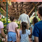 Daily Crocodile Feeding Tours