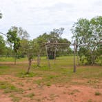 Framing of a shelter made from bush timbers.