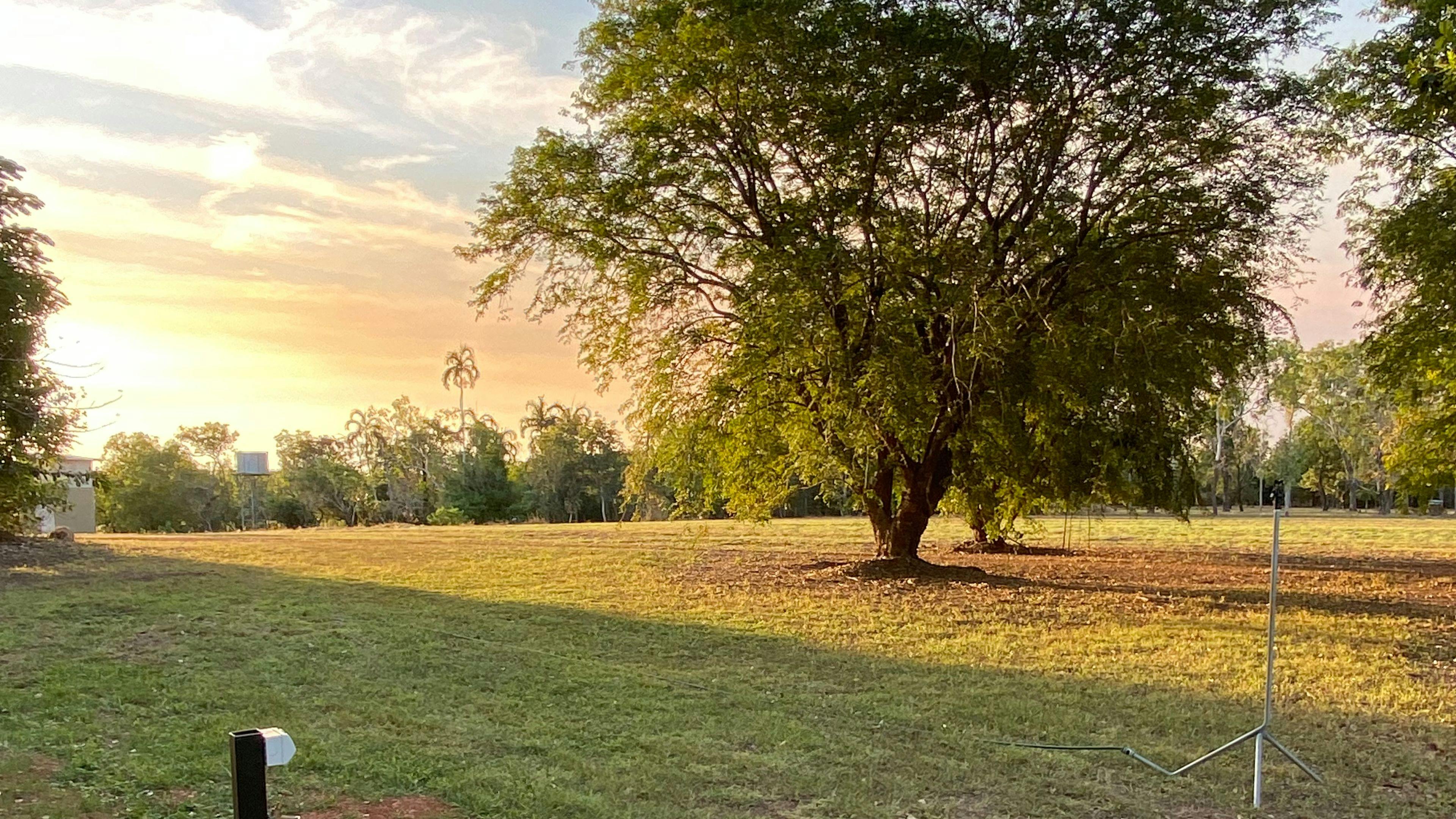 Darwin River Fern Farm