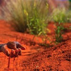 Red Sand