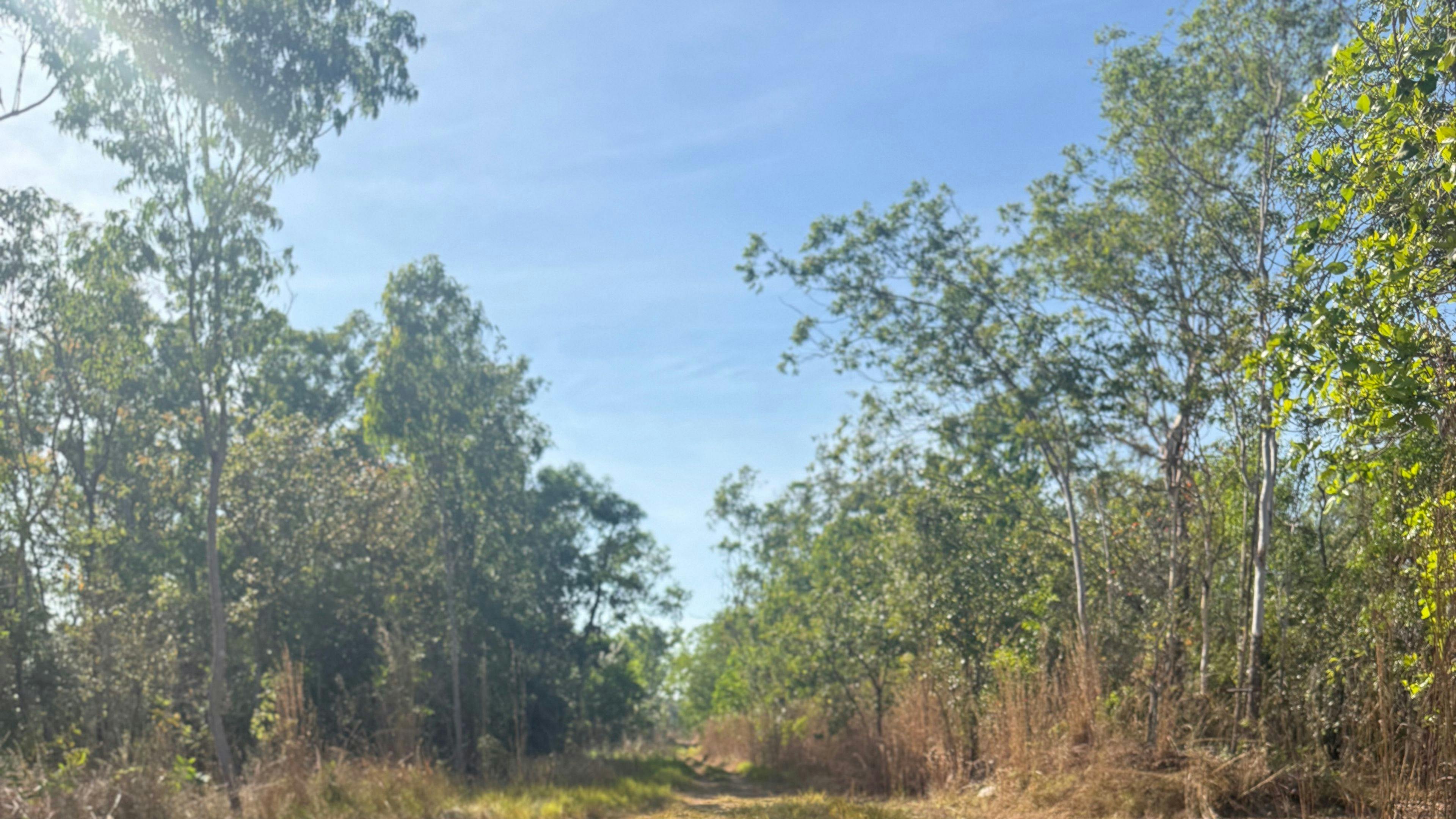 Bonnie Doo Bush Camp