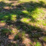 Curra Park