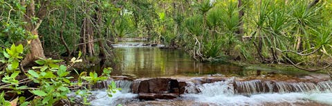Tabletop Track - creek crossing between Wangi Falls and Southern Campground
