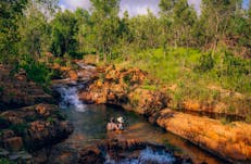 Walking in the Top End