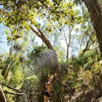 Woman standing in the water at Katherine Hot Springs