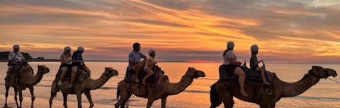 Four camels with riders walking along a tropical beach, with ocean waves and sunset in backround