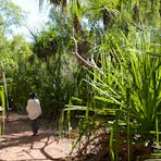 Holmes Jungle Nature Park