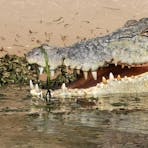 saltwater crocodile