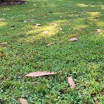 Site 2