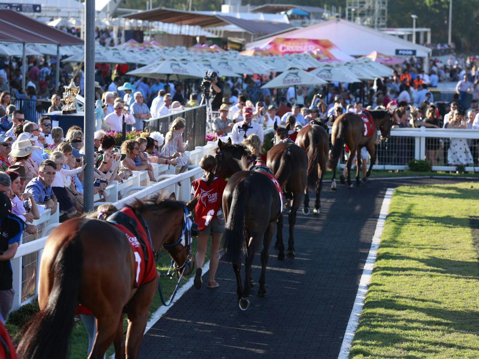 2024 Great Northern Darwin Cup Carnival