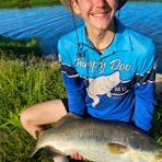 Barramundi Fish at Hooked on Barra, Land-Based Barramundi Fishing.
