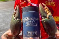 Cook-your-catch Mud Crab Tours on Darwin Harbour