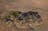 Henbury Meteorites Conservation Reserve
