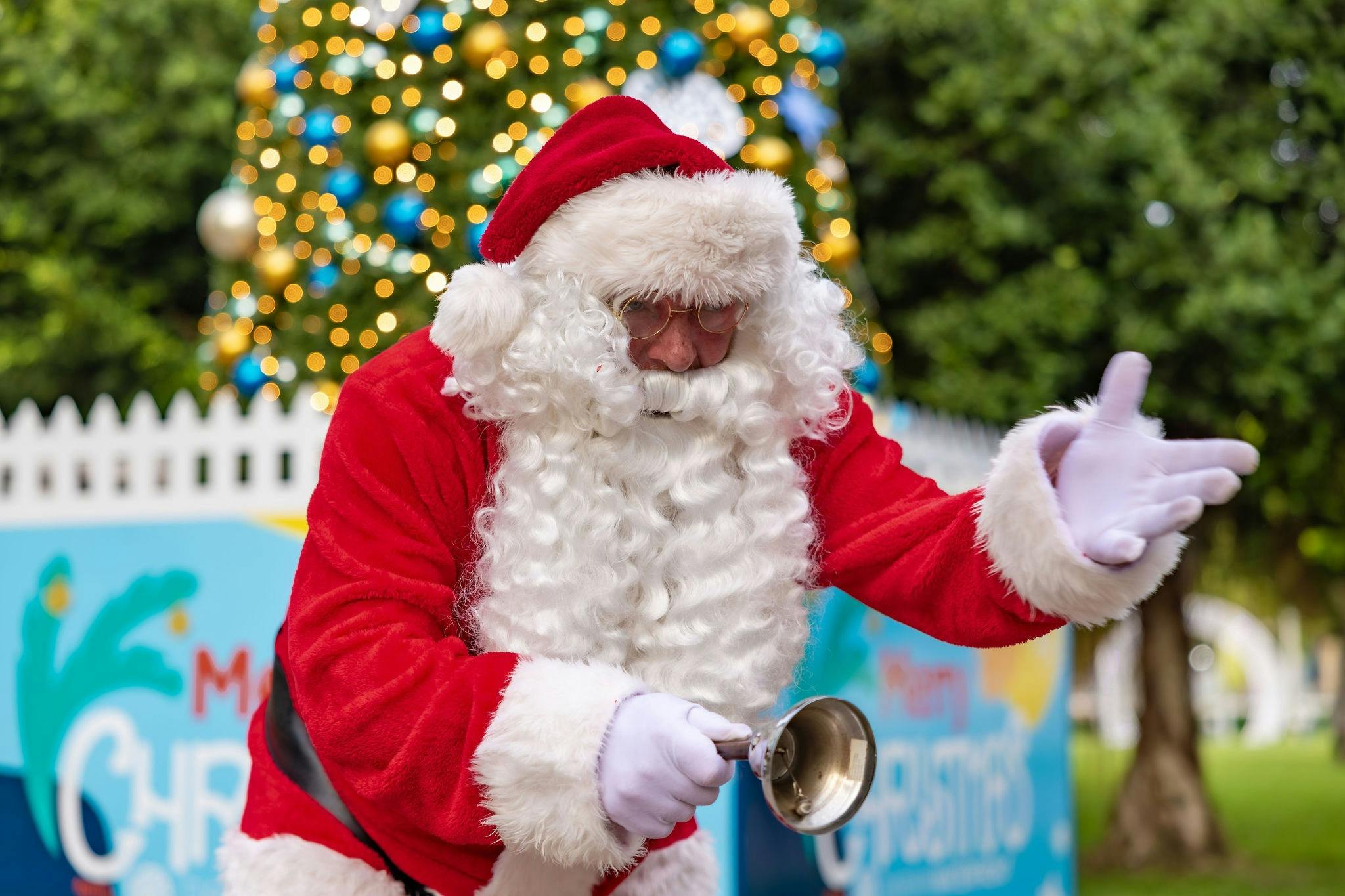 Christmas Light Trail