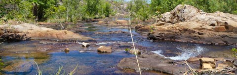 Rapids above Crystal Falls