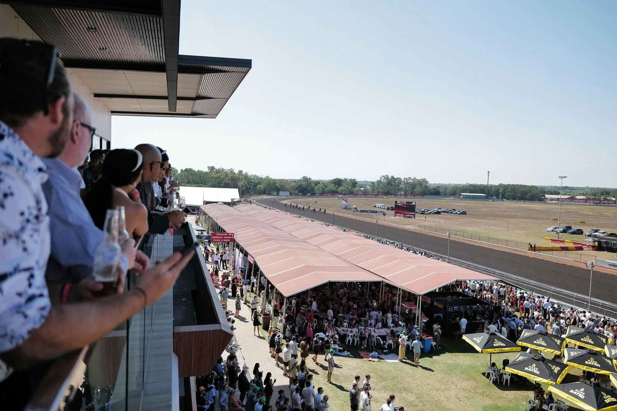 Day 6 - Dabble Corporate Race Day