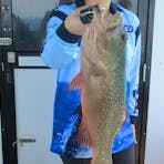 Reef fish catch on Bluewater charter