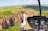 Kakadu Waterfalls