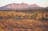 Finke 2-Mile