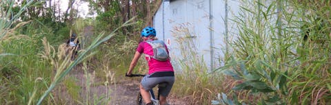 Person mountain biking on track at the Charles Darwin National Park