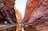 West MacDonnell Ranges | Half Day Tour