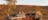 4 Day Kakadu Tour