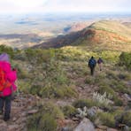 Larapinta Trail