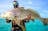Half Day Fishing Charter