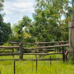 stockyards with bronc panel