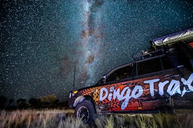 Dingo Trax_NT