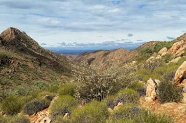 Larapinta Trail