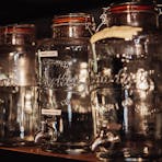 A range of distilled gin flavours highlighting Kakadu Plum flavoured gin