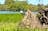 Evening Tour - Kakadu National Park - Sunset Yellow River Wildlife Cruise - 1 Day - Tour 3C