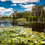 kakadu tour