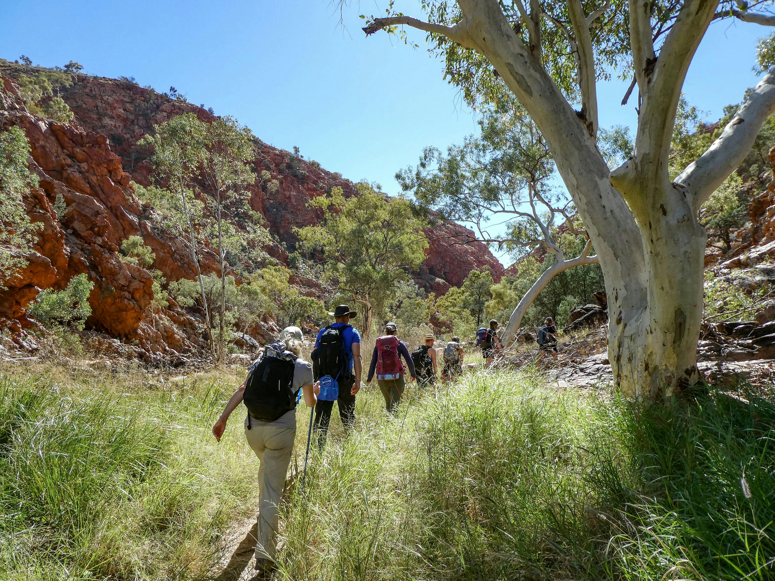Hike the Larapinta Trail