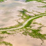 Floodplains