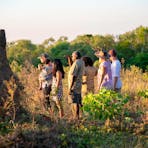 A group of people looking at a termite mound in Kakadu