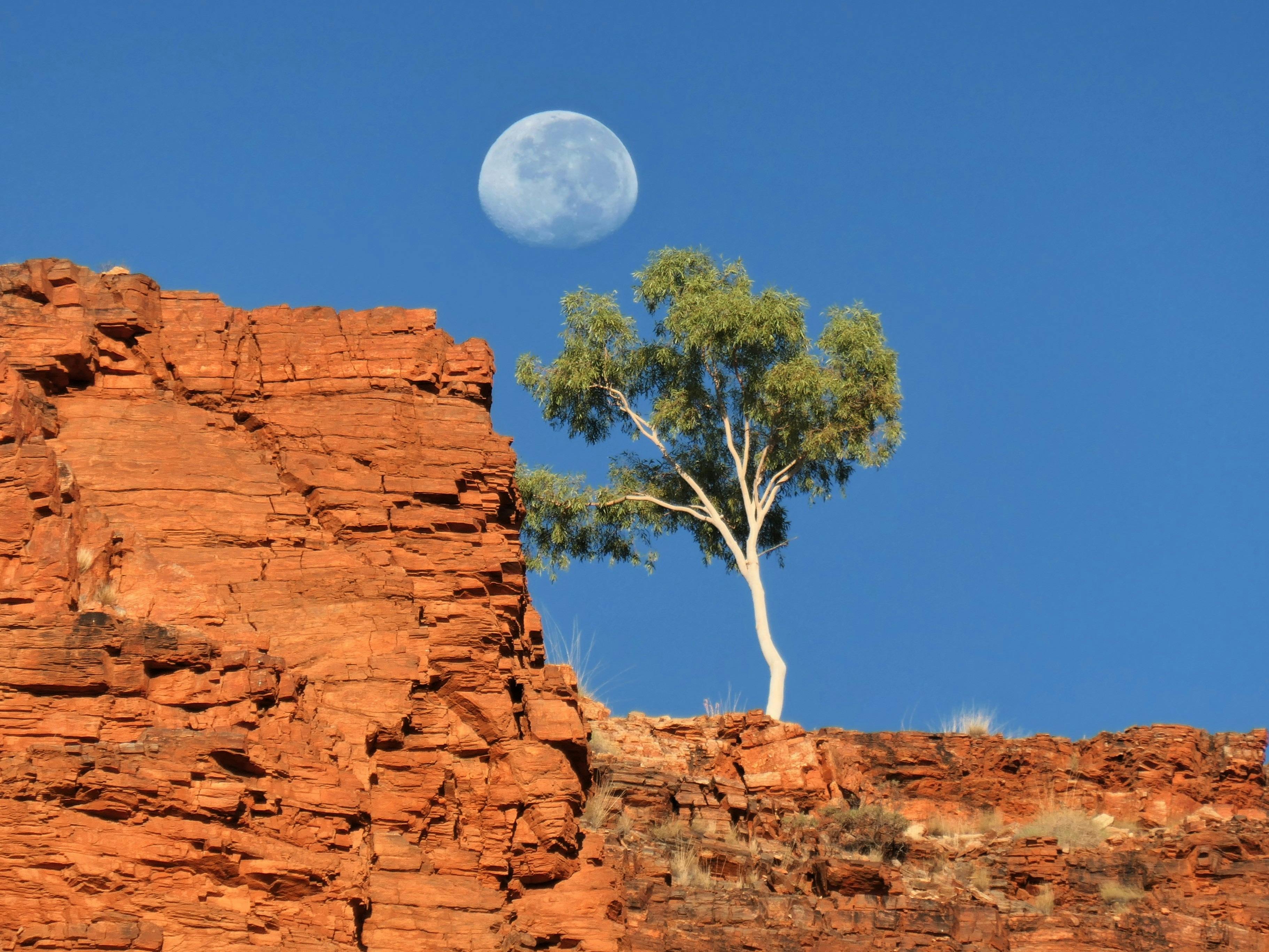 East Macdoonells moonrise