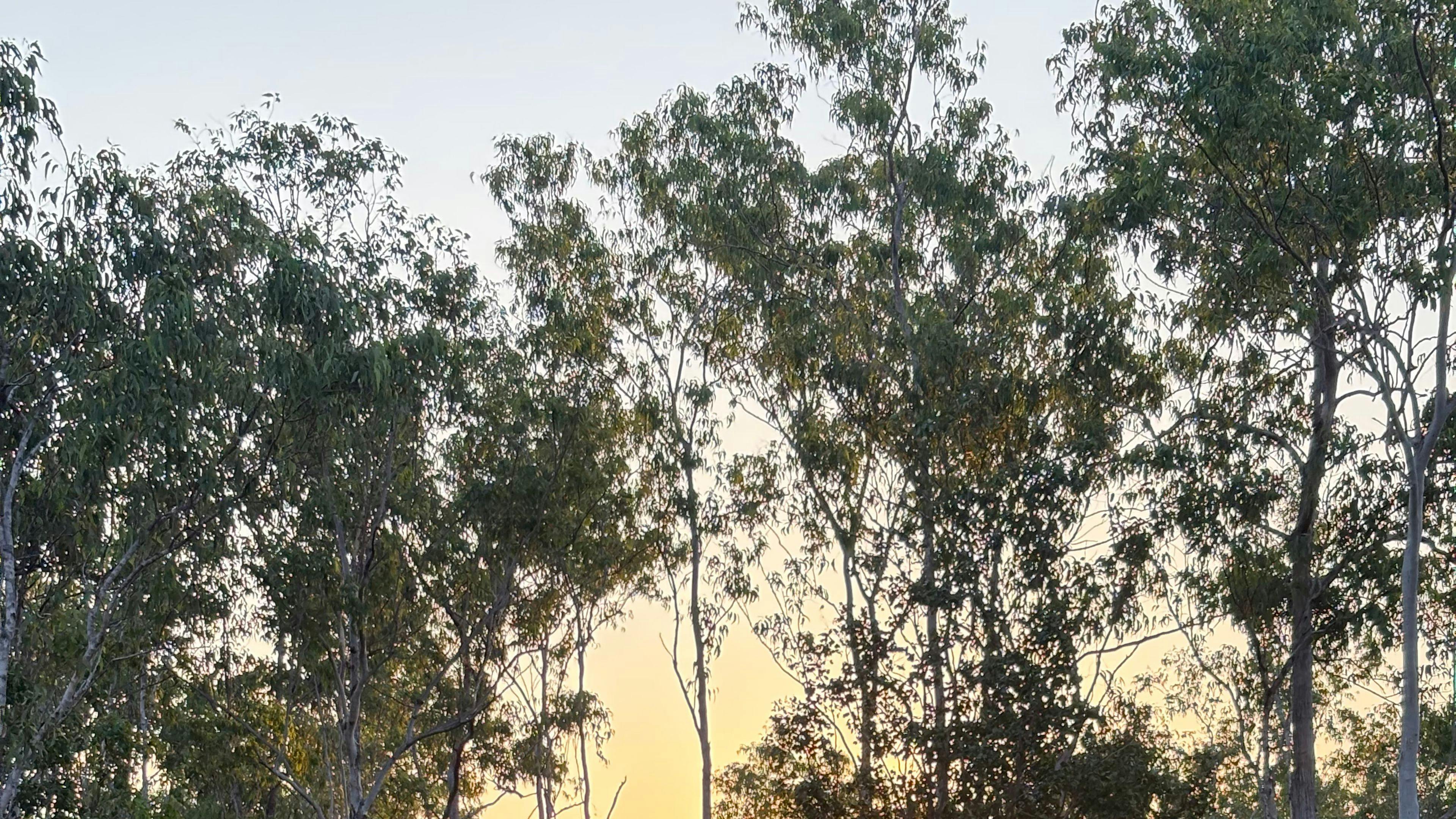 Girraween Bush Retreat