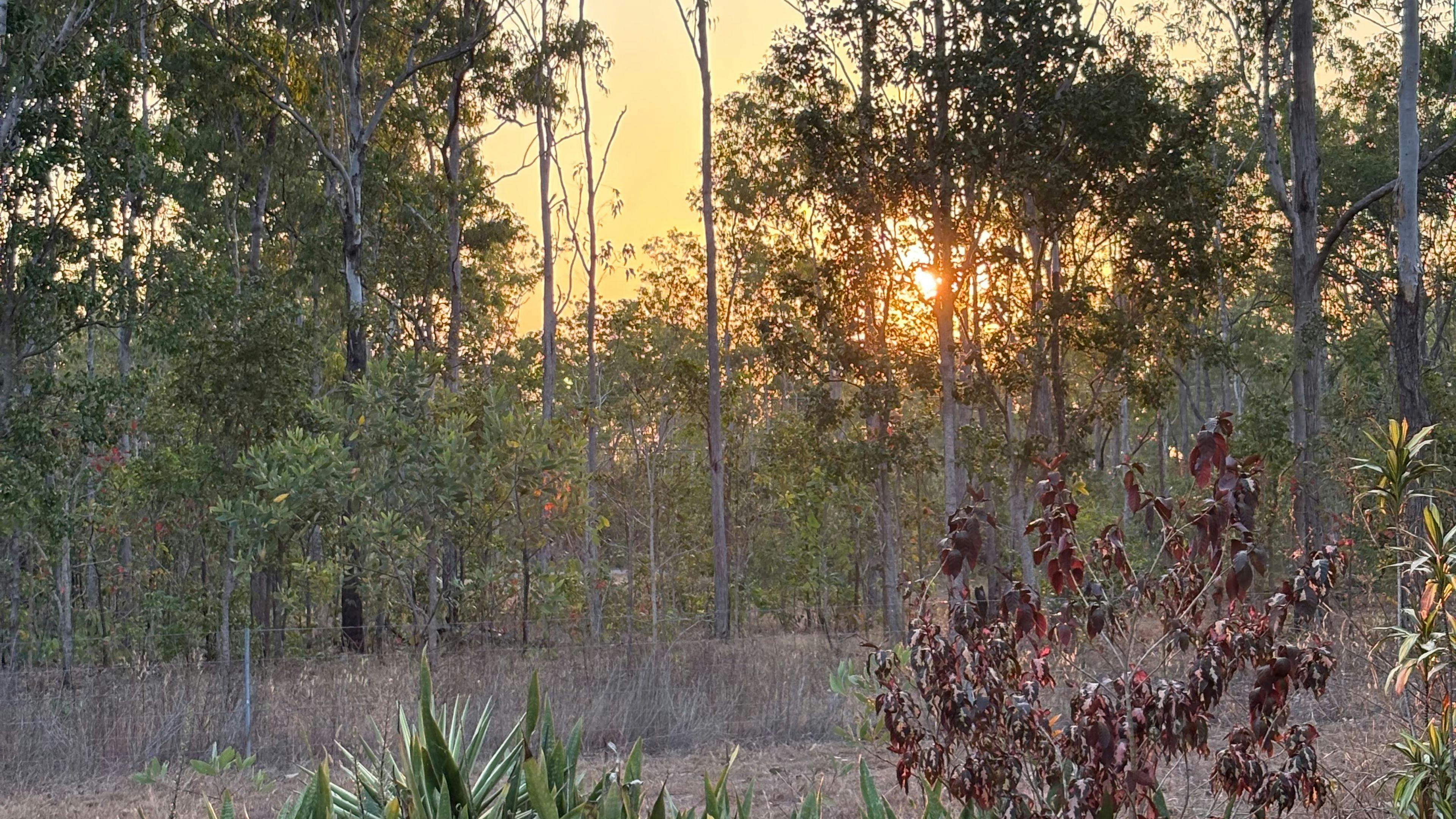 Girraween Bush Retreat