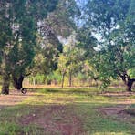 Wallaroo Flats
